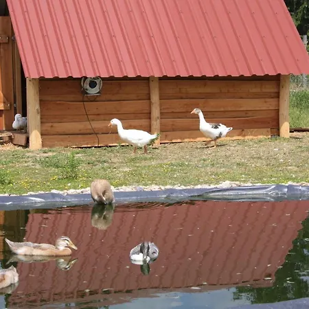 Ferienhaus Fur Bis Zu 4 Personen Zur Seeseite - #125051 * Grobern