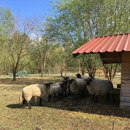 Ferienhaus Fur Bis Zu 4 Personen Zur Seeseite - #125051 *